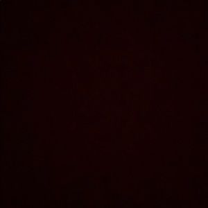 Meet your Posher, Daniela